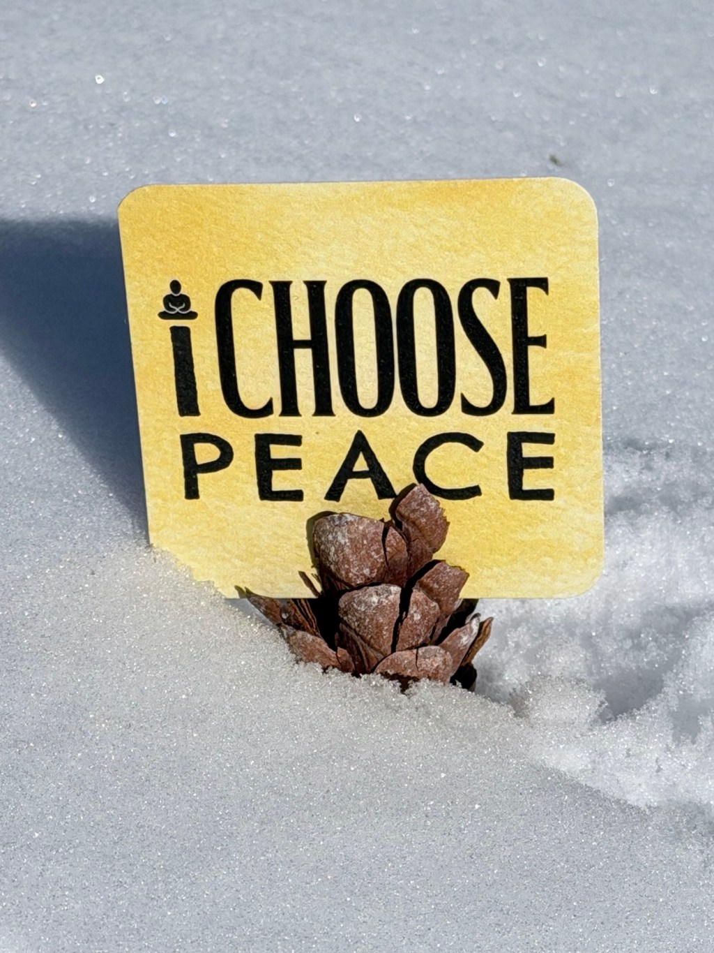 Connection. Love. Peace.